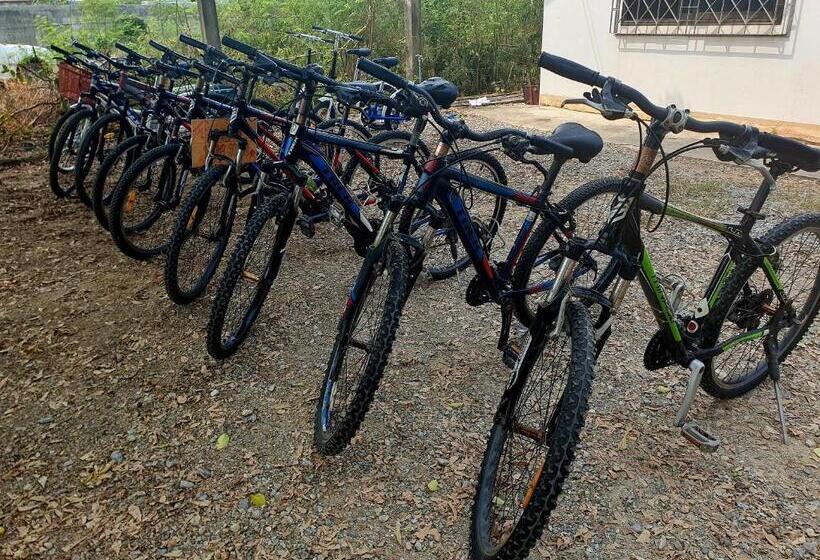 膳宿费 Ktt Resort Sukhothai