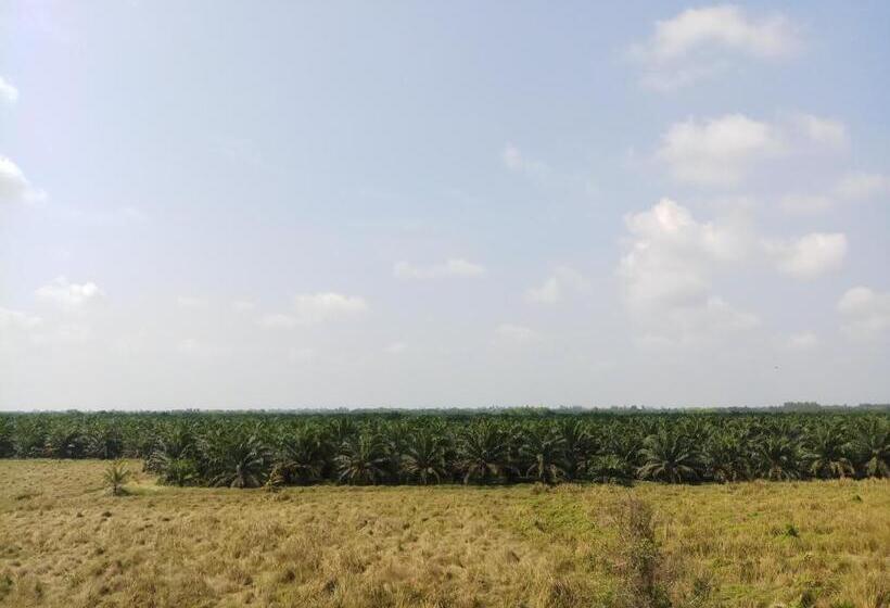 Пансион Jc Guesthouse @ Suratthani Airport