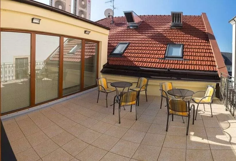 ペンション Penzion Longus