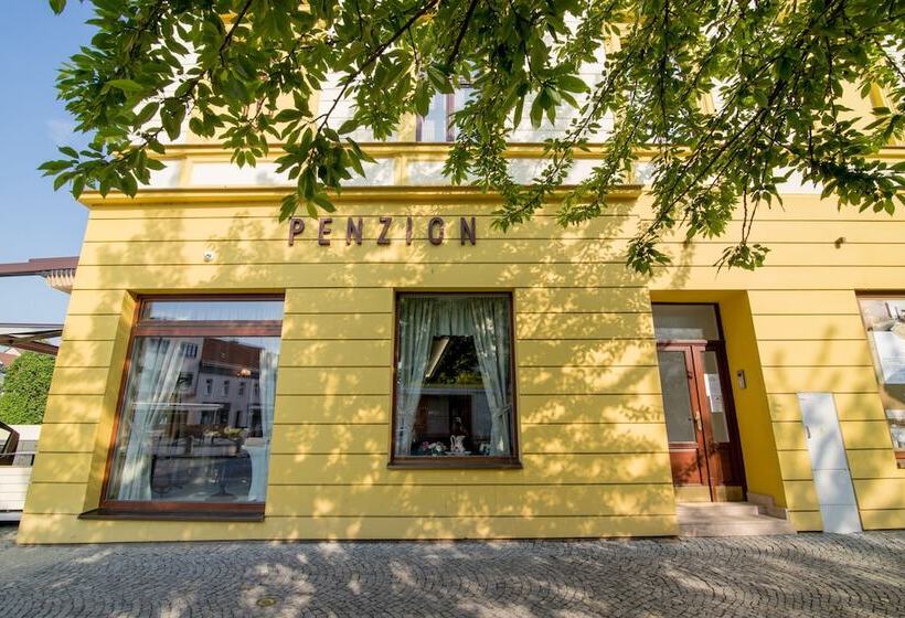 ペンション Penzion Longus