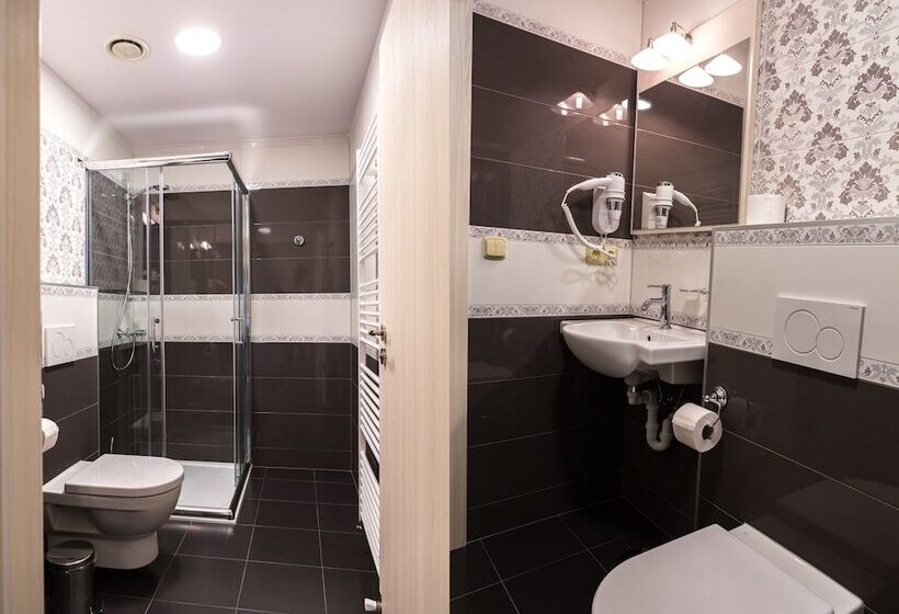 ペンション Penzion Longus