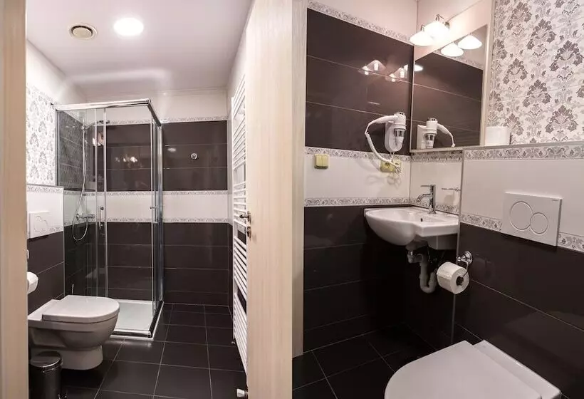 ペンション Penzion Longus