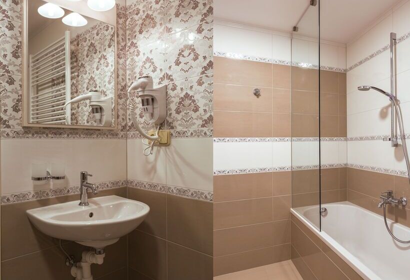 ペンション Penzion Longus