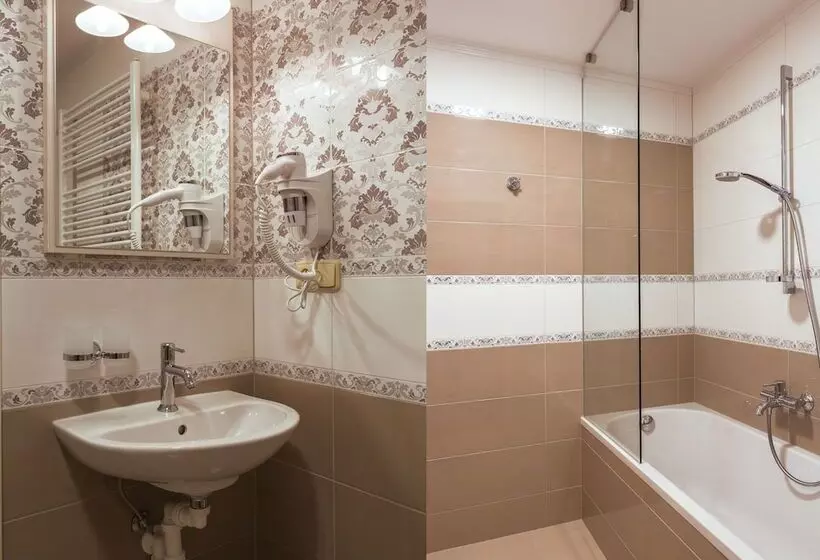 ペンション Penzion Longus