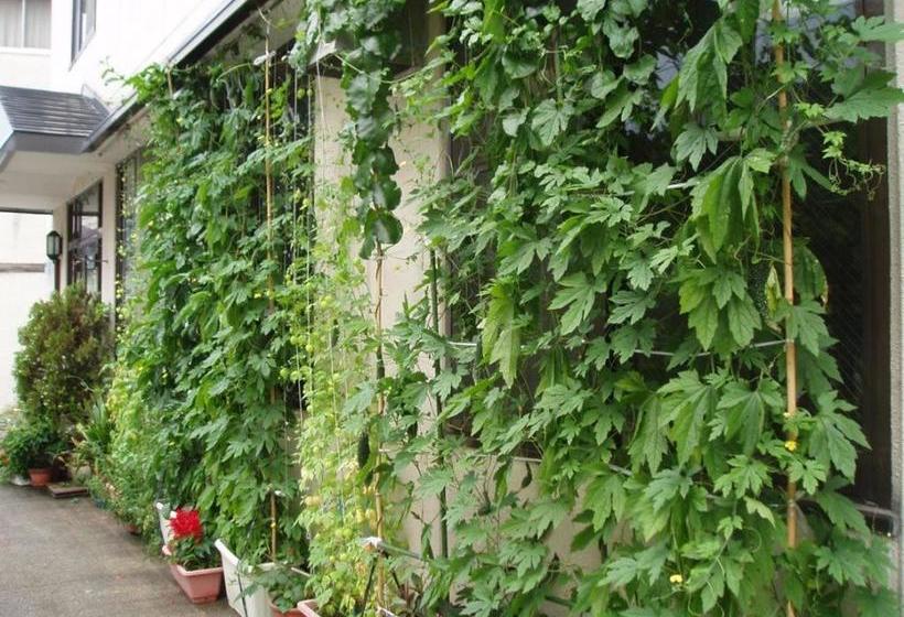 פנסיון Shinazawa