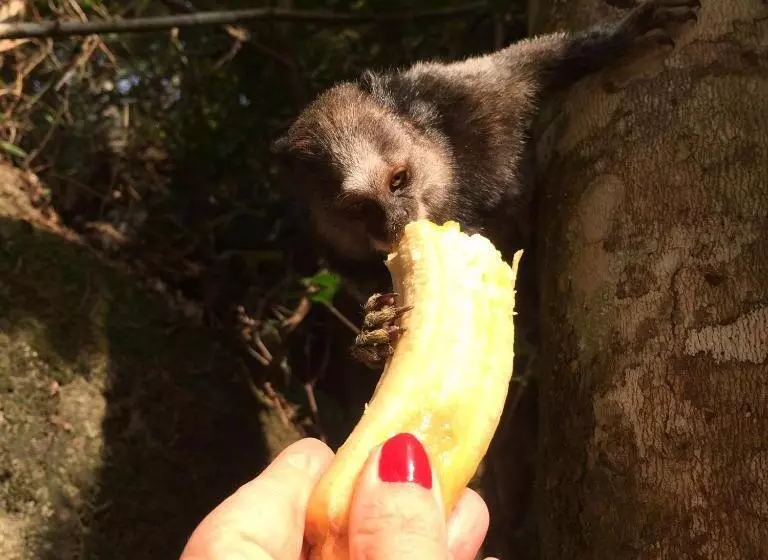 Majatalo Spazio Di Garda
