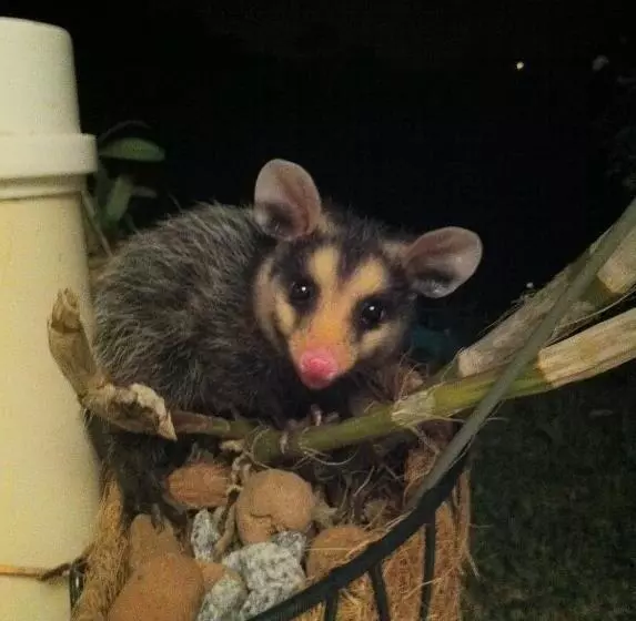 Majatalo Spazio Di Garda