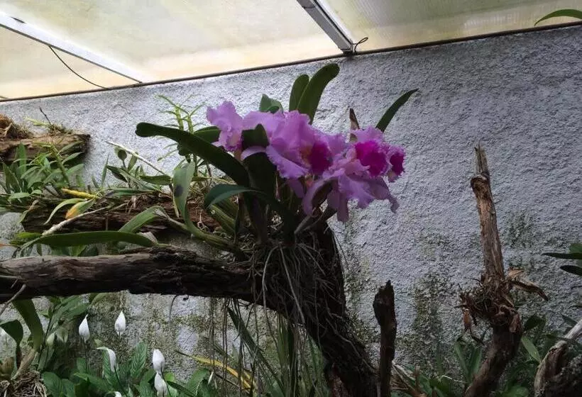 Majatalo Spazio Di Garda