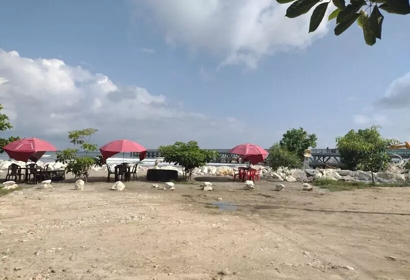 ペンション El Hamakero De Conchihostal