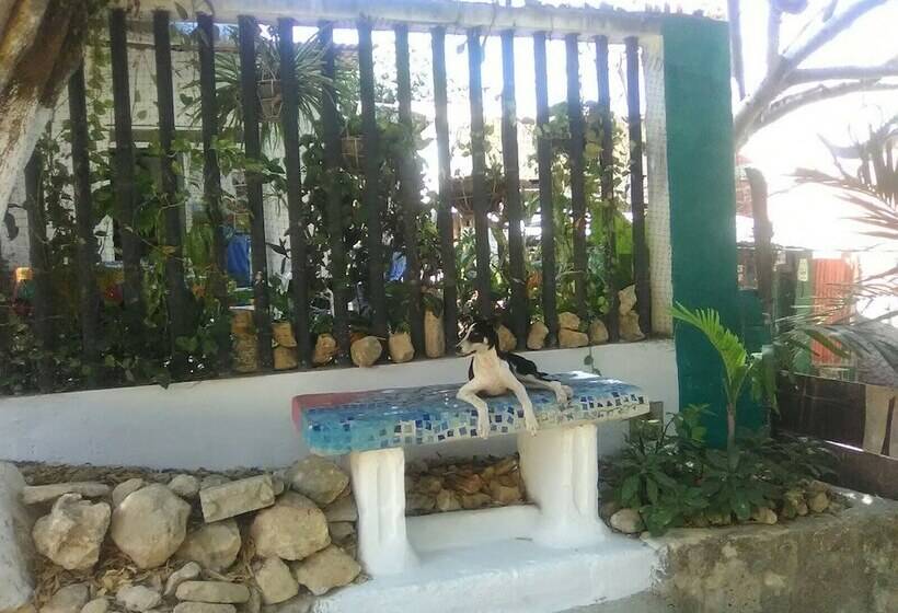 Pension El Hamakero De Conchihostal