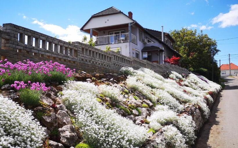 Пансион Szabó Vendégház