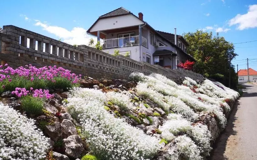 ペンション Szabó Vendégház