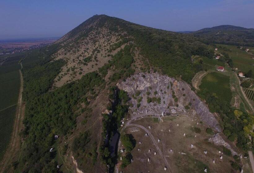 Пансион Szabó Vendégház