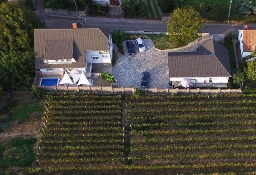 Пансион Szabó Vendégház