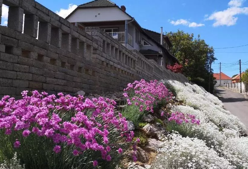 ペンション Szabó Vendégház