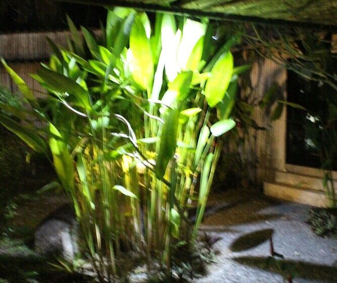 B Happy Resort   Sha Extraplus