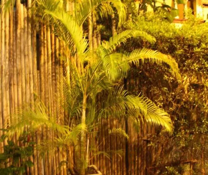 B Happy Resort   Sha Extraplus