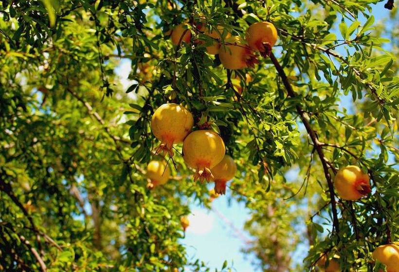 Pension Pulmary Guest House