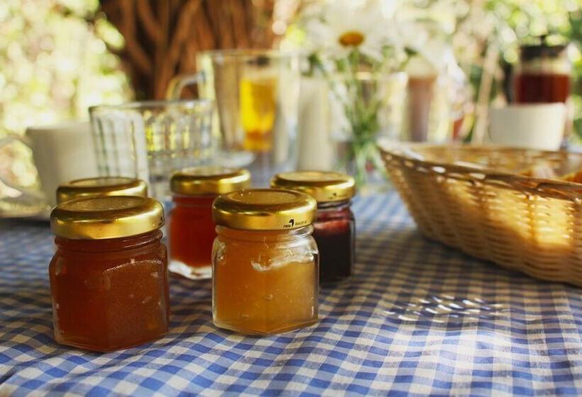 Pension Pulmary Guest House