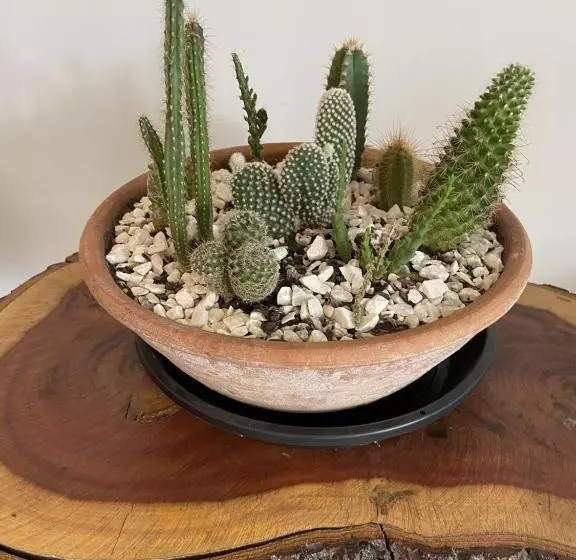 Majatalo Pousada Mestre Vitalino