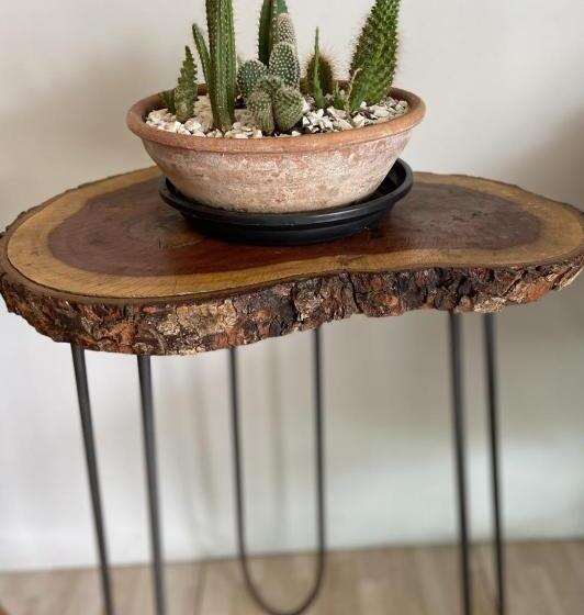 پانسیون Pousada Mestre Vitalino