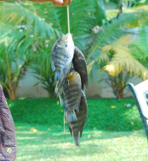 אתר נופש Triveny River Palace