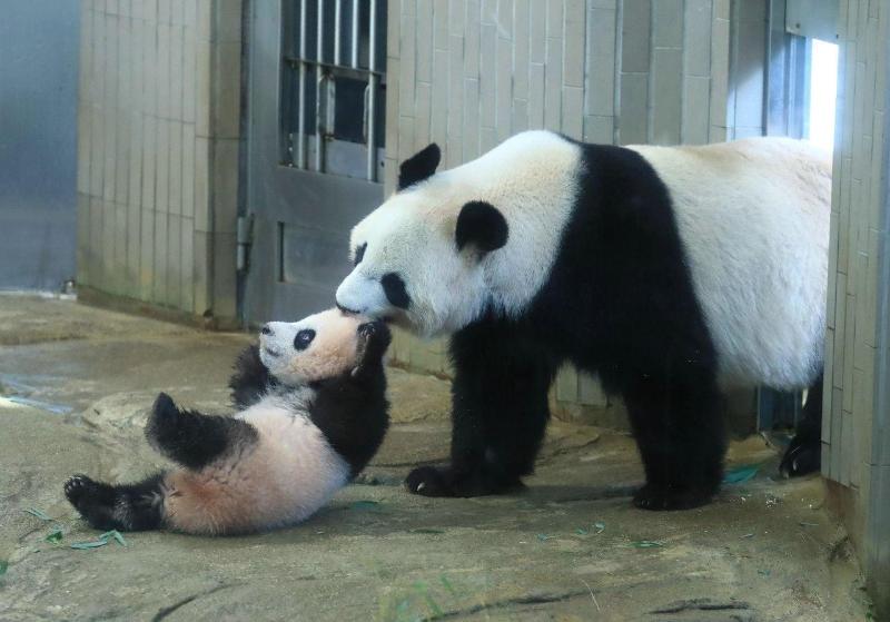 פנסיון Alaise De Bale Shirahama