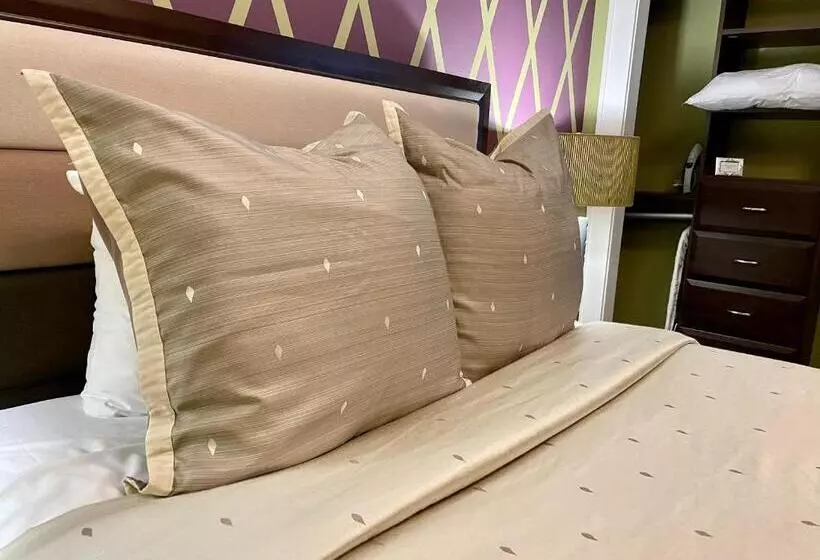 Retkeilymaja Culpeper Center Suites