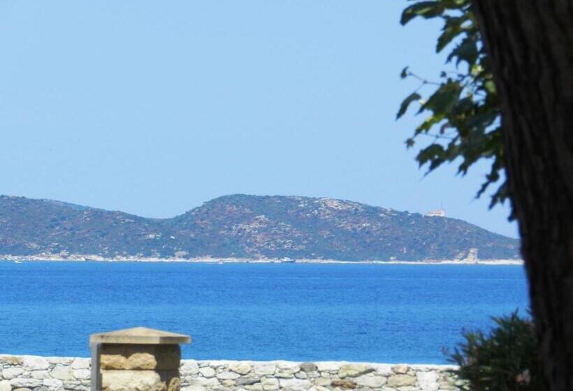 هتل Hôtel Sole E Mare