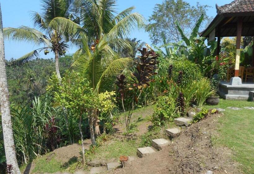 ペンション Cegeng Lestari Guest House