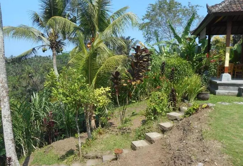 ペンション Cegeng Lestari Guest House