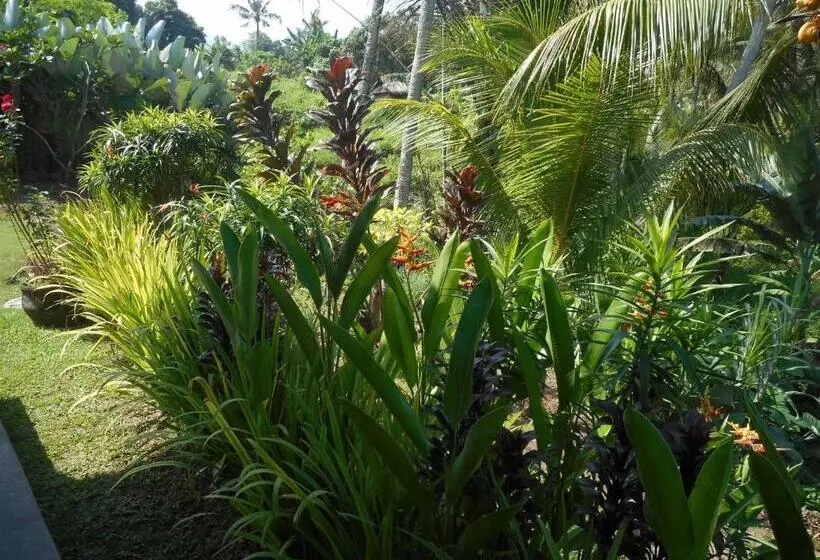 ペンション Cegeng Lestari Guest House