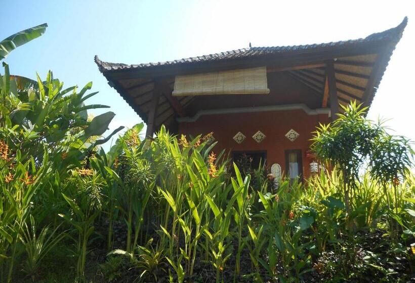 ペンション Cegeng Lestari Guest House