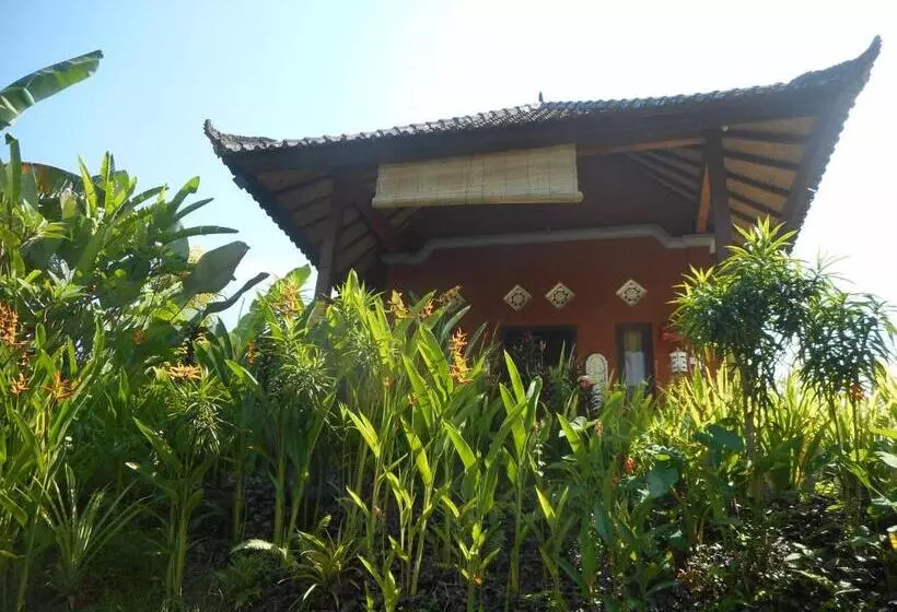 ペンション Cegeng Lestari Guest House