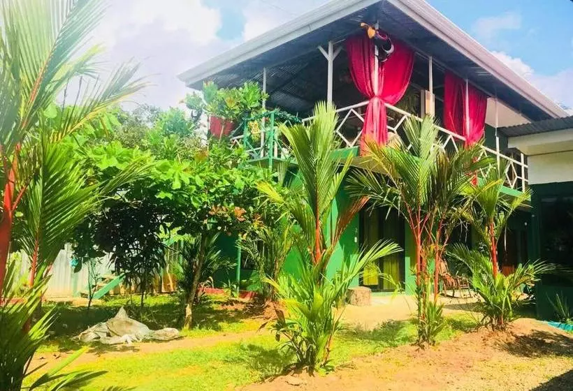 پانسیون Guest House Pura Vida