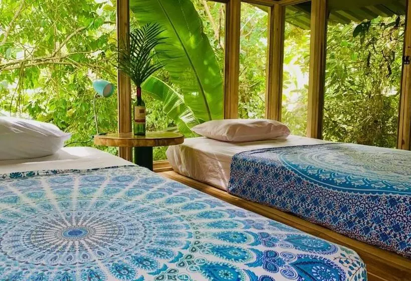 پانسیون Guest House Pura Vida