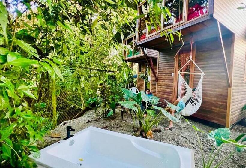 ペンション Guest House Pura Vida