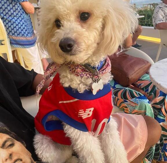 ペンション Guest House Pura Vida