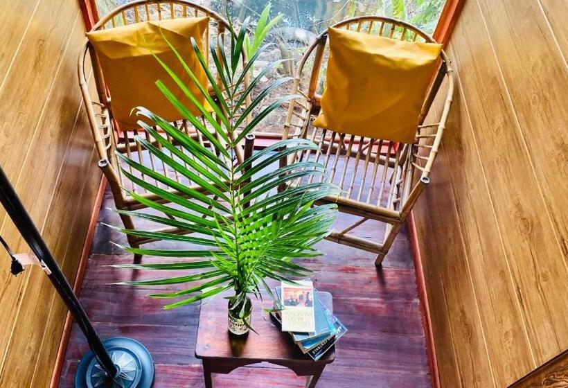 ペンション Guest House Pura Vida