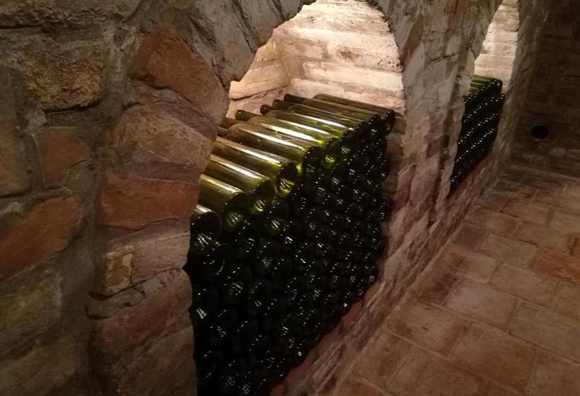 Пансион Madarász Vendégház