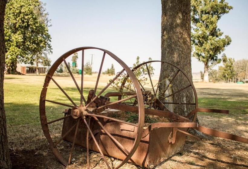 호텔 Dalmore Guest Farm