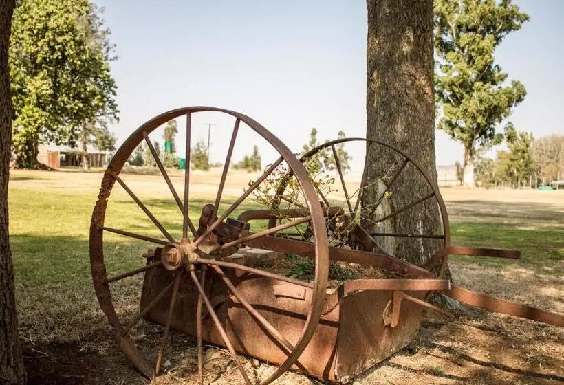 ホテル Dalmore Guest Farm