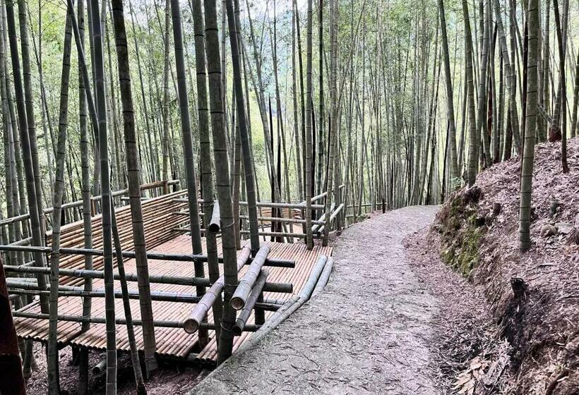 پانسیون Bo Zho Villa