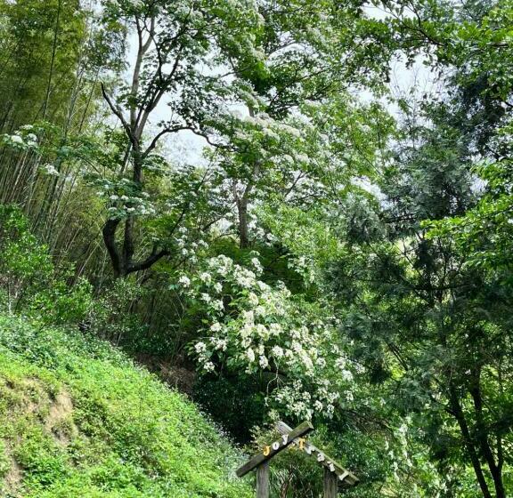 پانسیون Bo Zho Villa