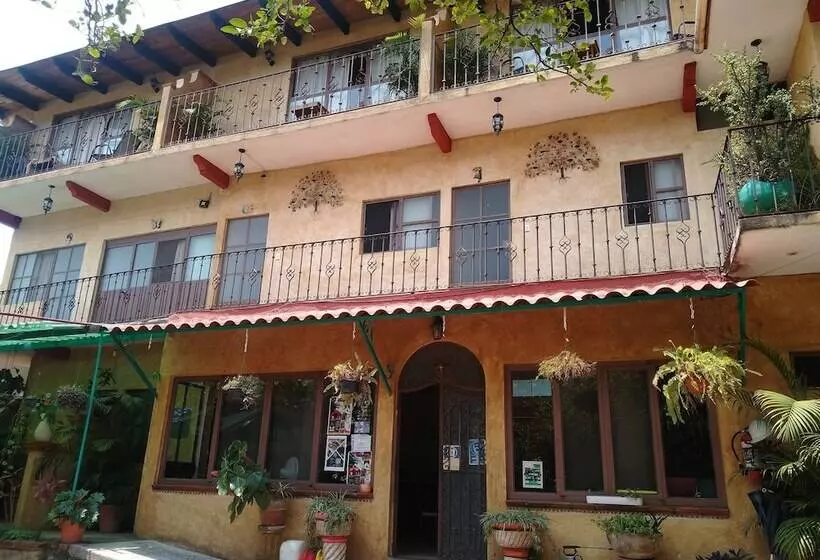 ペンション Flor De Cera