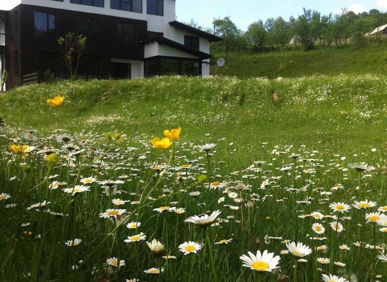 پانسیون Talhaus