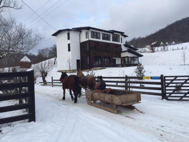 پانسیون Talhaus