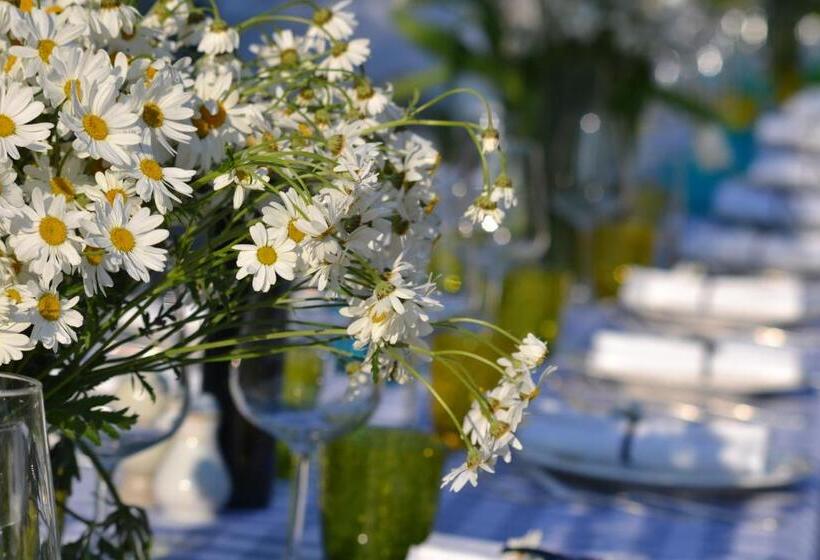 Отель Castello Oldofredi