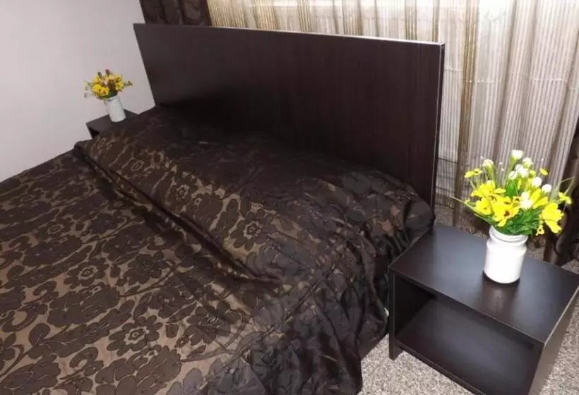 ペンション Casa Dobrescu Centura De Nord