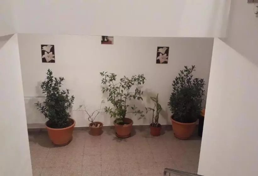 ペンション Casa Dobrescu Centura De Nord